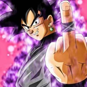 Meet your Posher, Lamar